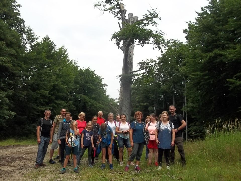 Wycieczka w Góry Wałbrzyskie i Sowie s002 - PTTK Strzelin