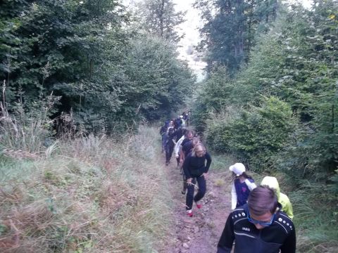 Wycieczka w Góry Sowie s32 - PTTK Strzelin