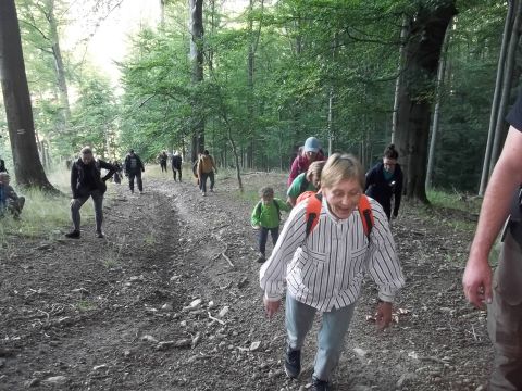 Wycieczka w Góry Sowie s37 - PTTK Strzelin