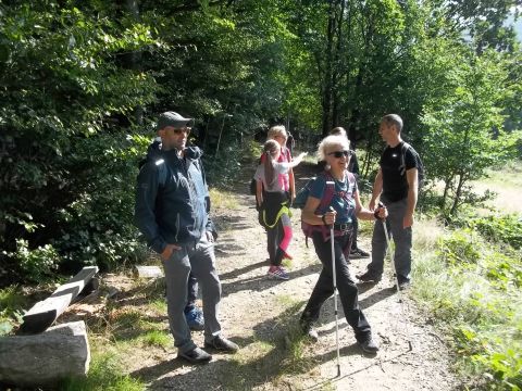 Wycieczka w Góry Sowie s74 - PTTK Strzelin