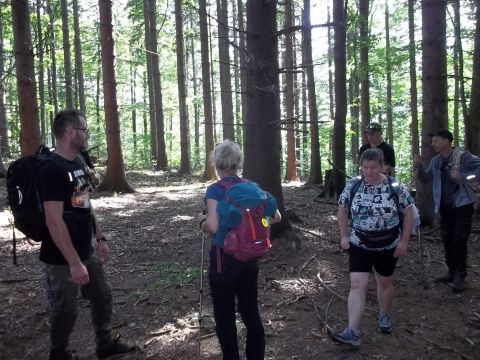 Wycieczka w Góry Sowie s78 - PTTK Strzelin