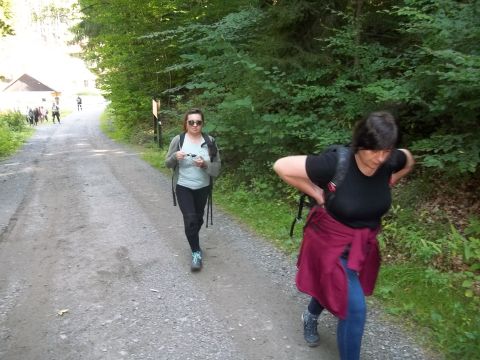 Wycieczka w Góry Sowie s92 - PTTK Strzelin