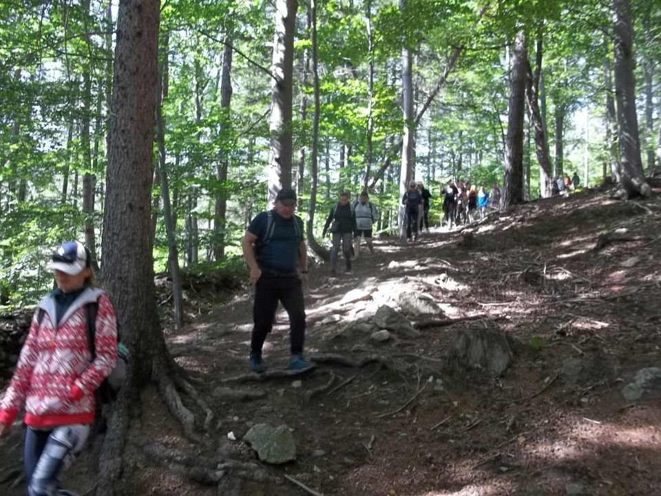 Wycieczka w Góry Sowie s002 - PTTK Strzelin