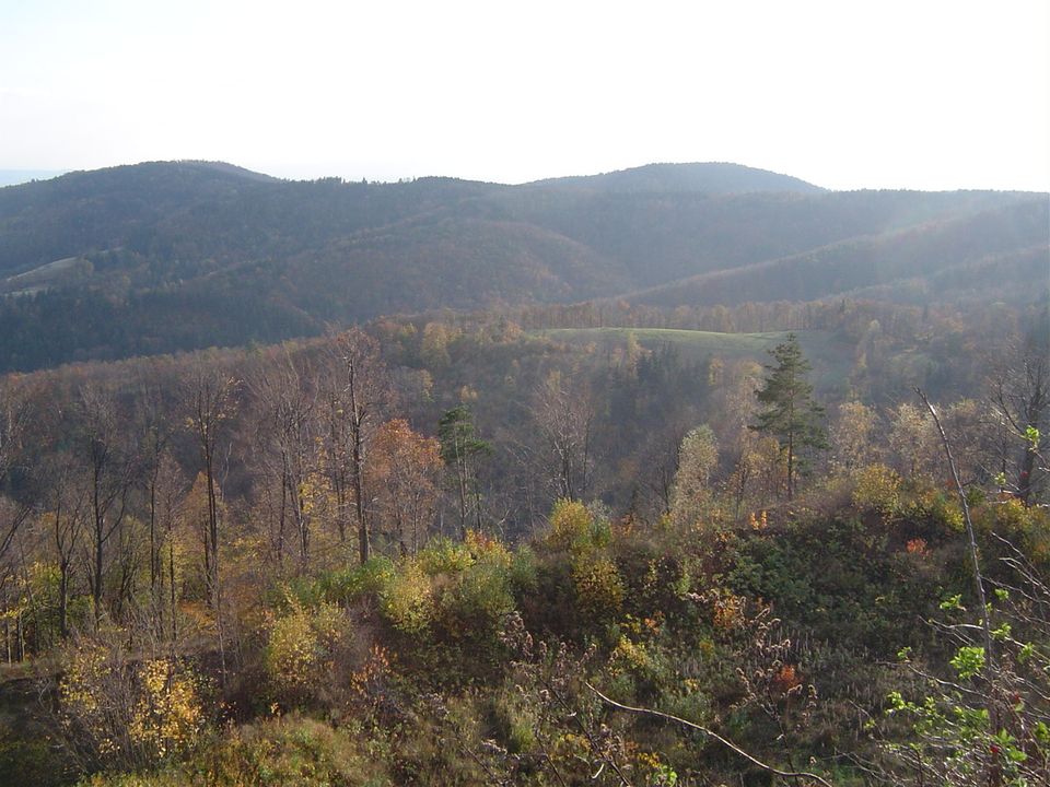 Góry Bardzkie i Sowie - Srebrna Góra s002 - PTTK Strzelin