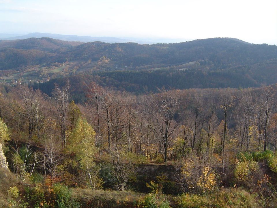Góry Bardzkie i Sowie - Srebrna Góra s002 - PTTK Strzelin