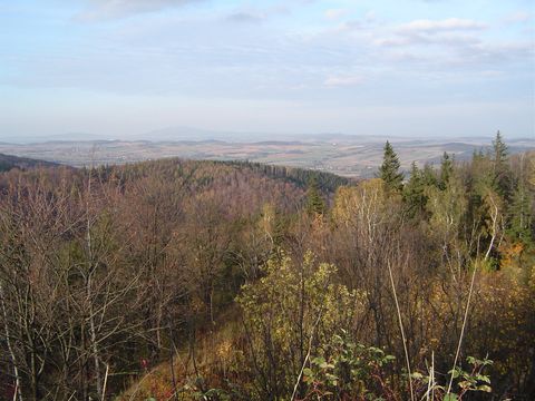 Góry Bardzkie i Sowie - Srebrna Góra s73 - PTTK Strzelin