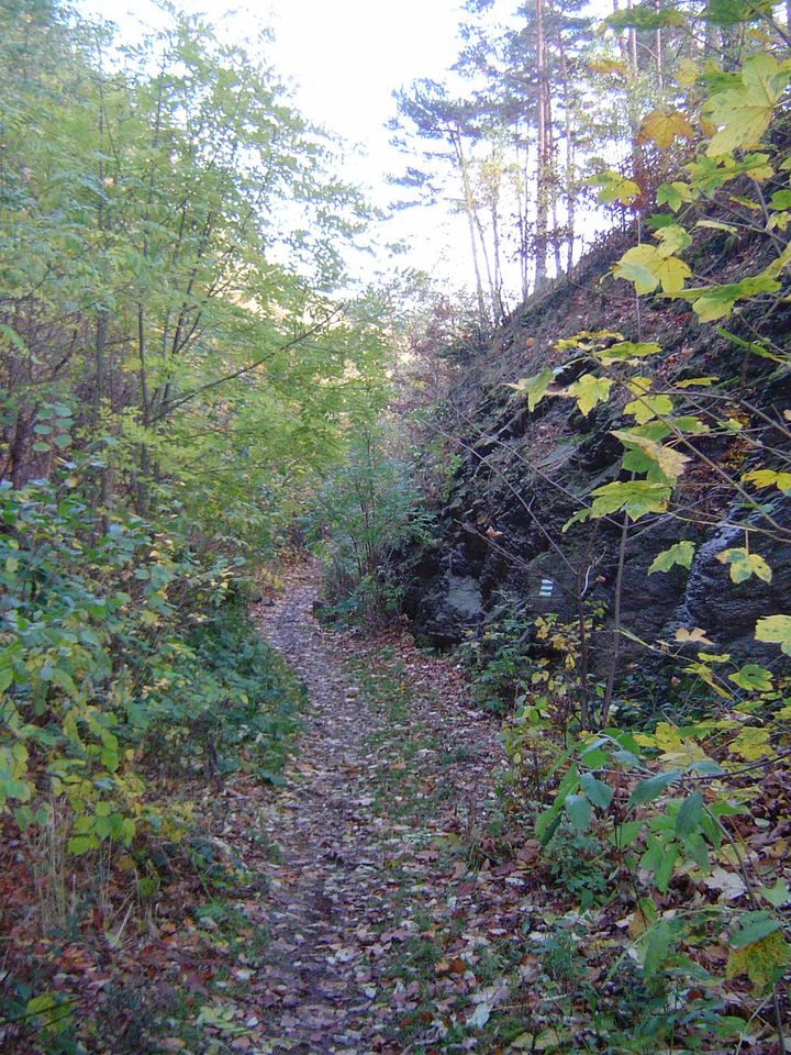 Góry Bardzkie i Sowie - Srebrna Góra s002 - PTTK Strzelin