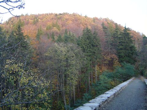Góry Bardzkie i Sowie - Srebrna Góra s89 - PTTK Strzelin