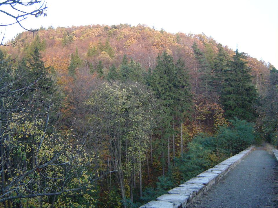 Góry Bardzkie i Sowie - Srebrna Góra s002 - PTTK Strzelin