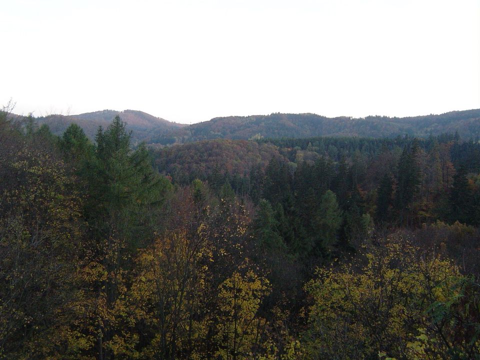 Góry Bardzkie i Sowie - Srebrna Góra s002 - PTTK Strzelin