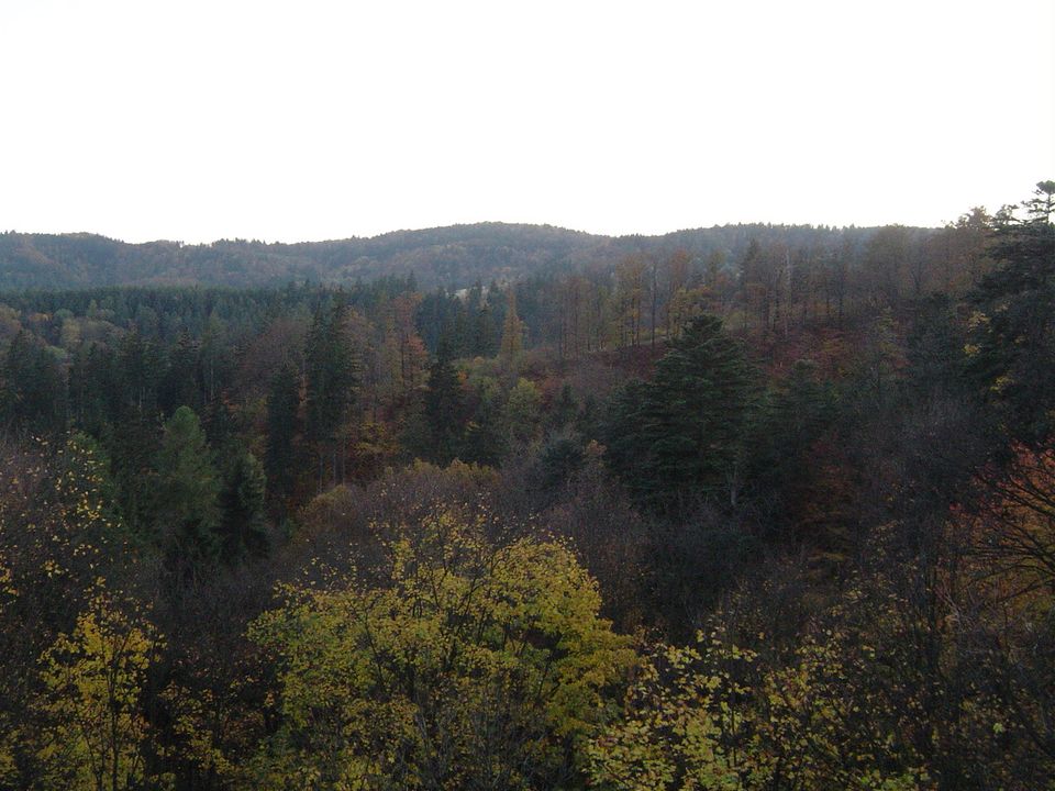Góry Bardzkie i Sowie - Srebrna Góra s002 - PTTK Strzelin