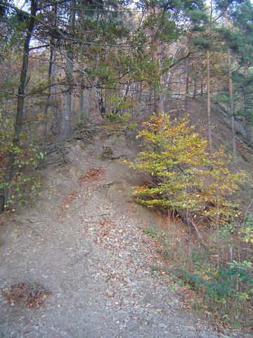 Góry Bardzkie i Sowie - Srebrna Góra s93 - PTTK Strzelin