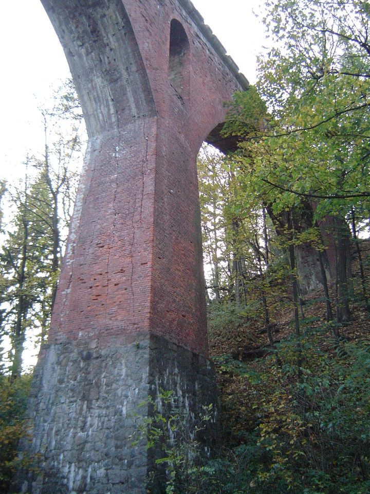 Góry Bardzkie i Sowie - Srebrna Góra s002 - PTTK Strzelin