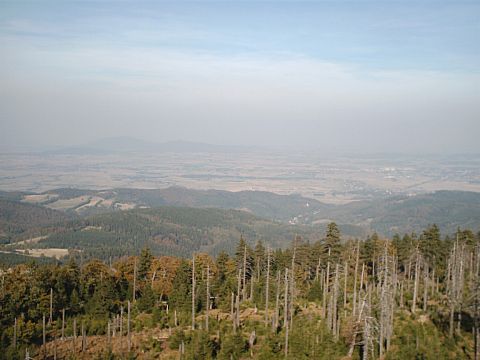 Widok z wie�y widokowej na Wielkiej Sowie w stron� �l�y