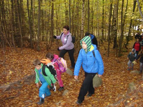 W drodze do Skalnych Wr�t s054 - PTTK Strzelin