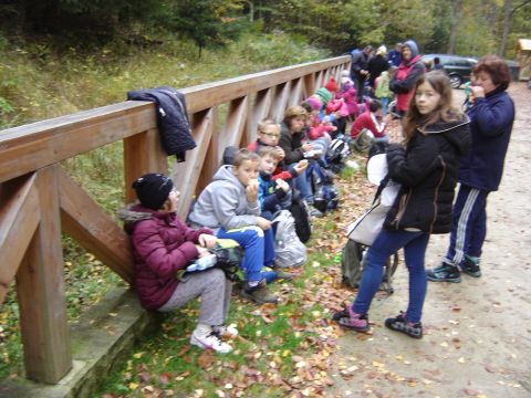 W drodze na Radkowskie Ska�y s071 - PTTK Strzelin