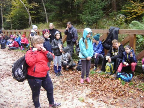 W drodze na Radkowskie Ska�y s075 - PTTK Strzelin