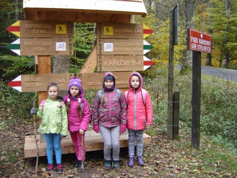 W drodze na Radkowskie Ska�y s078 - PTTK Strzelin