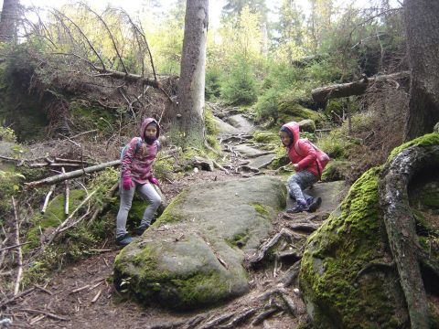 Radkowskie Ska�y s094 - PTTK Strzelin