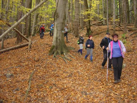 Zej�cie do Radkowa s098 - PTTK Strzelin