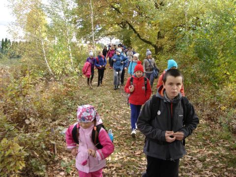 W drodze do �r�d�a Marii s069 - PTTK Strzelin