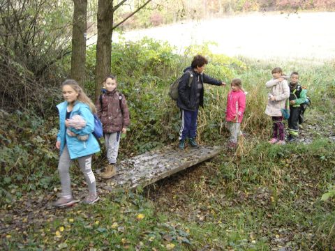 W drodze do �r�d�a Marii s074 - PTTK Strzelin