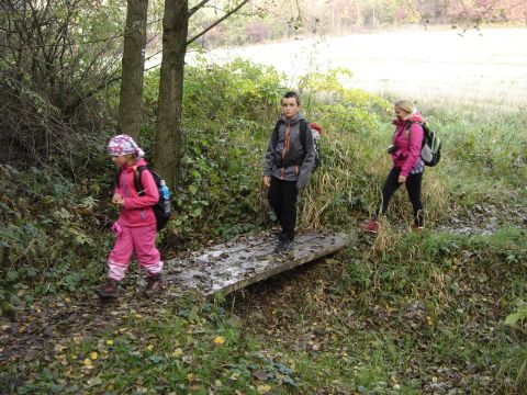 W drodze do �r�d�a Marii s078 - PTTK Strzelin