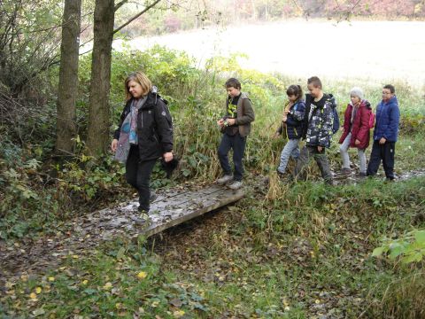 W drodze do �r�d�a Marii s079 - PTTK Strzelin