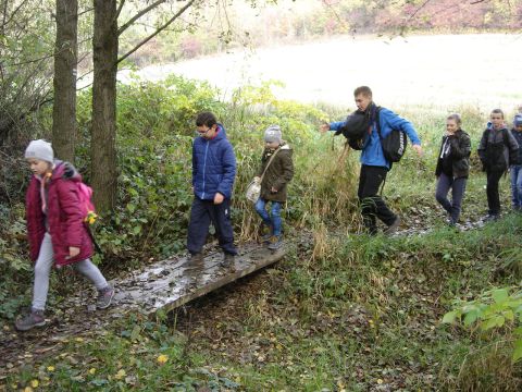 W drodze do �r�d�a Marii s080 - PTTK Strzelin