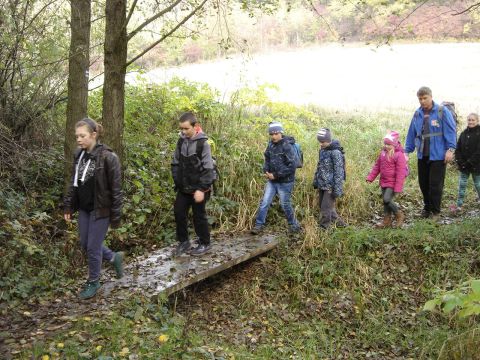 W drodze do �r�d�a Marii s081 - PTTK Strzelin