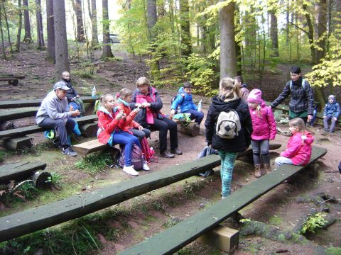 �r�d�o Marii s090 - PTTK Strzelin