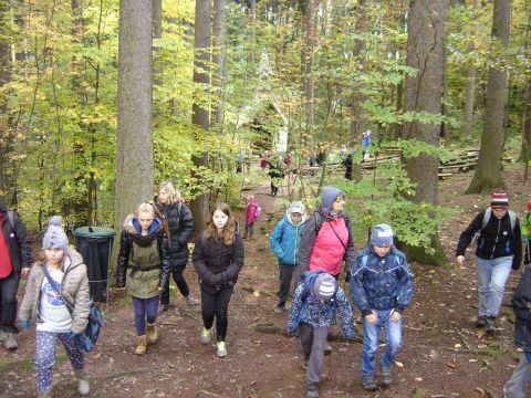 Wzg�rza Lewi�skie - w drodze do Jarkowa s096 - PTTK Strzelin