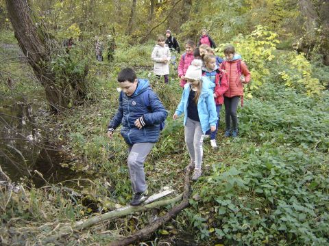 Wzg�rza Lewi�skie - w drodze do Jarkowa s101 - PTTK Strzelin