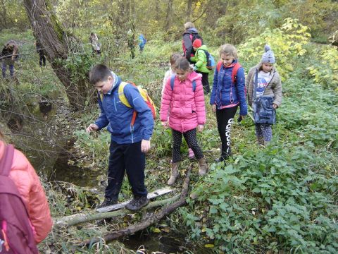 Wzg�rza Lewi�skie - w drodze do Jarkowa s102 - PTTK Strzelin