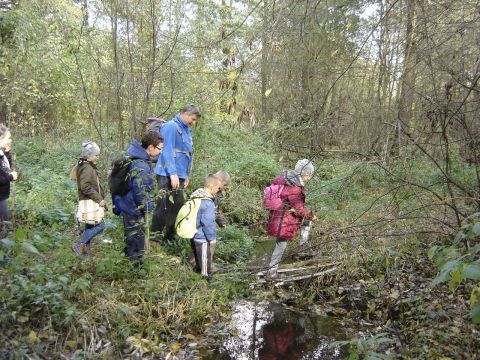 Wzg�rza Lewi�skie - w drodze do Jarkowa s103 - PTTK Strzelin