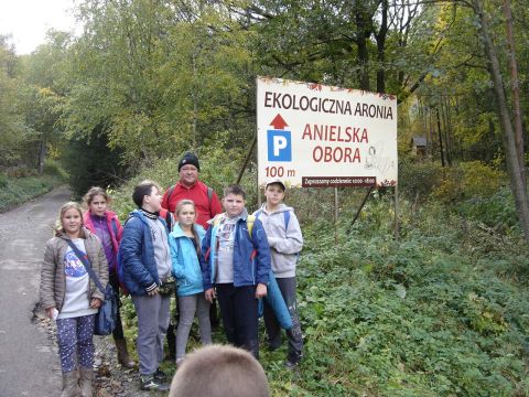 Wzg�rza Lewi�skie - Jark�w s111 - PTTK Strzelin