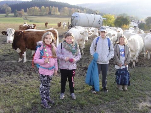 Wzg�rza Lewi�skie - w drodze do Lewina s116 - PTTK Strzelin