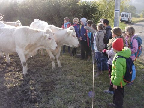 Wzg�rza Lewi�skie - w drodze do Lewina s117 - PTTK Strzelin