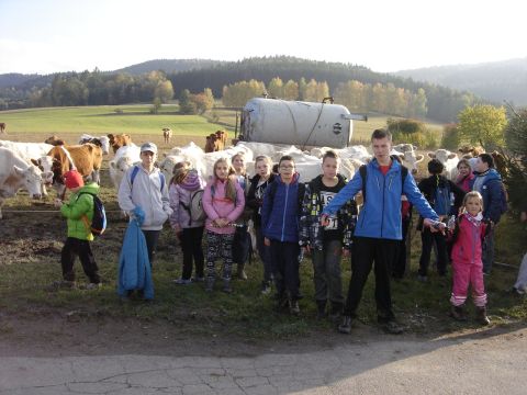 Wzg�rza Lewi�skie - w drodze do Lewina s118 - PTTK Strzelin