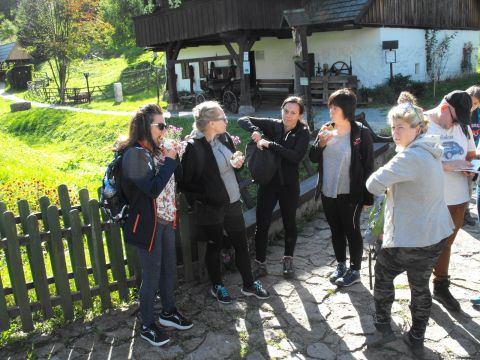 XXI Rajd 'G�ry Sto�owe' - Skansen w Pstr��nej s005 - PTTK Strzelin