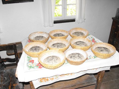 XXI Rajd 'G�ry Sto�owe' - Skansen w Pstr��nej s012 - PTTK Strzelin