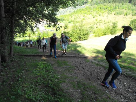 XXI Rajd 'G�ry Sto�owe' - Skansen w Pstr��nej s027 - PTTK Strzelin