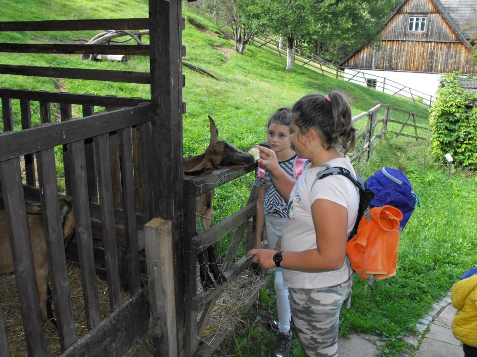 XXI Rajd 'G�ry Sto�owe' - Skansen w Pstr��nej d041 - PTTK Strzelin