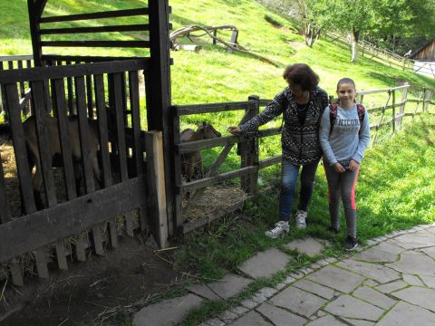 XXI Rajd 'G�ry Sto�owe' - Skansen w Pstr��nej s043 - PTTK Strzelin