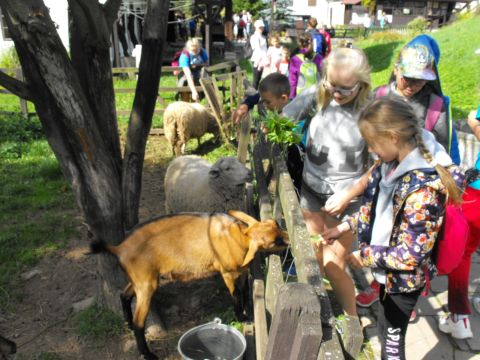 XXI Rajd 'G�ry Sto�owe' - Skansen w Pstr��nej s044 - PTTK Strzelin