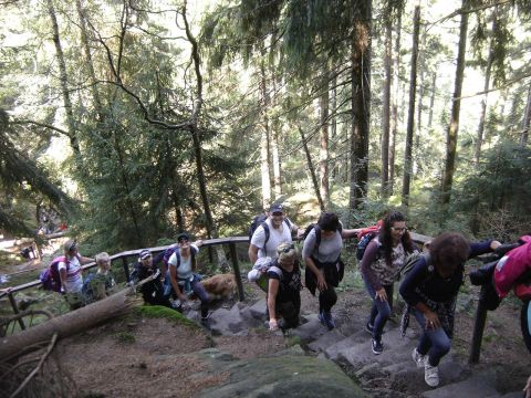 W drodze na B��dne Ska�y s084 - PTTK Strzelin