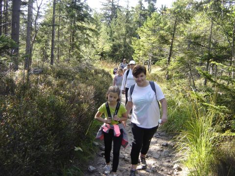 XXI Rajd 'G�ry Sto�owe' - na Skalniaku s128 - PTTK Strzelin