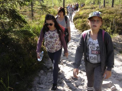 XXI Rajd 'G�ry Sto�owe' - na Skalniaku s132 - PTTK Strzelin