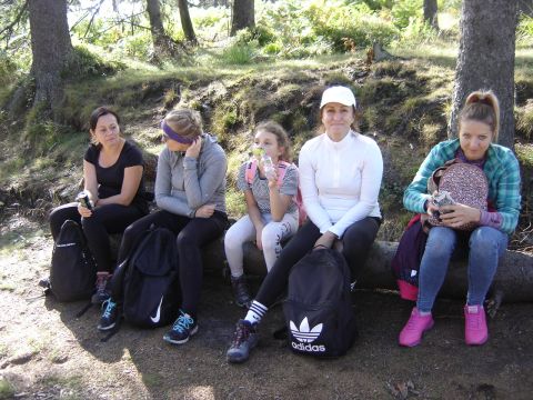 Pod Fortem Karola s135 - PTTK Strzelin