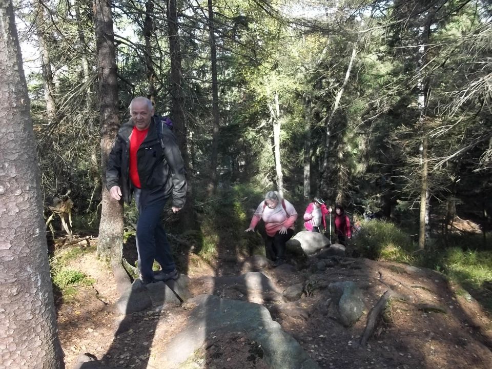 Wycieczka w Góry Stołowe s002 - PTTK Strzelin